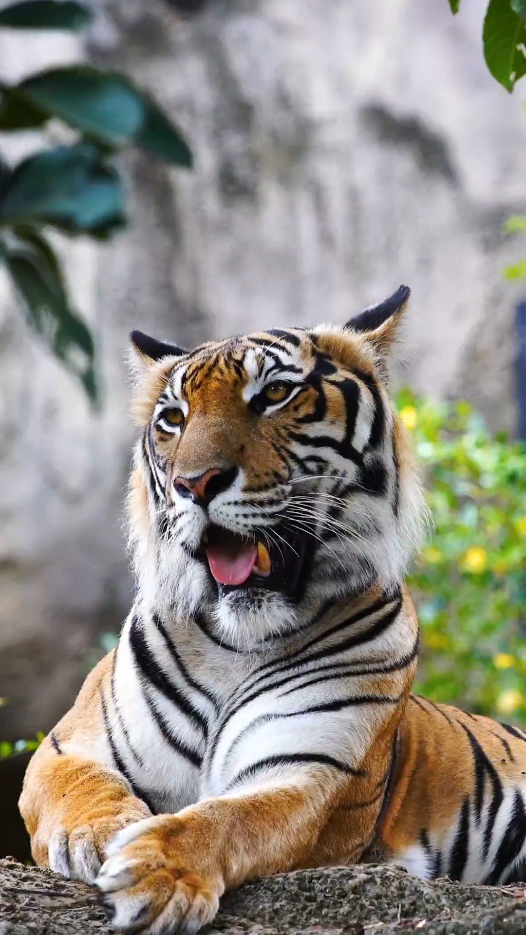 RQSR7398.JPG