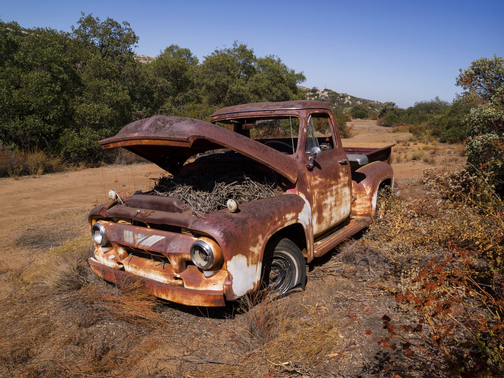 rusty truck 1077 rw 8.29.22 x.jpg