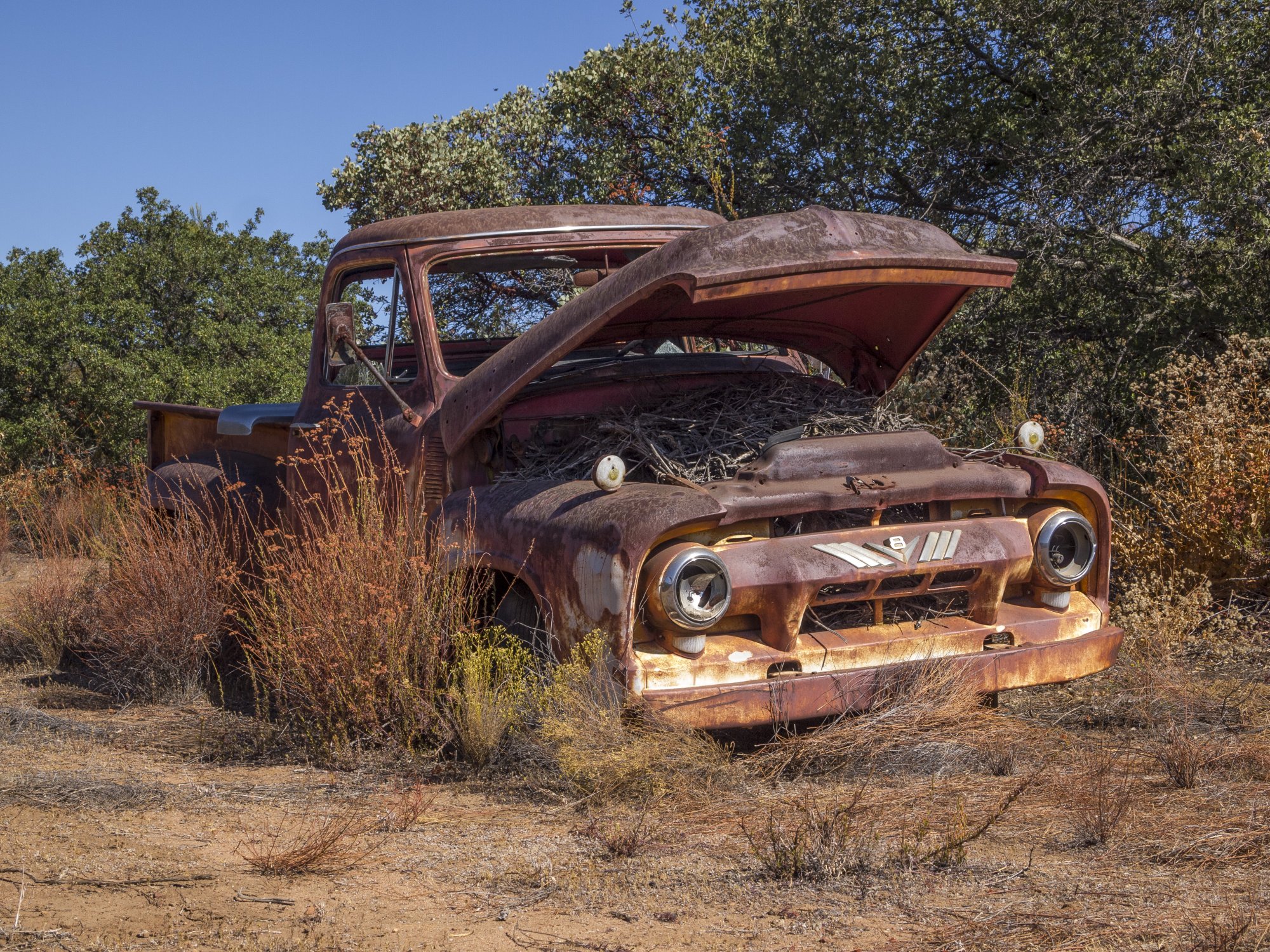 rusty truck 1086 rw 8.29.22.jpg