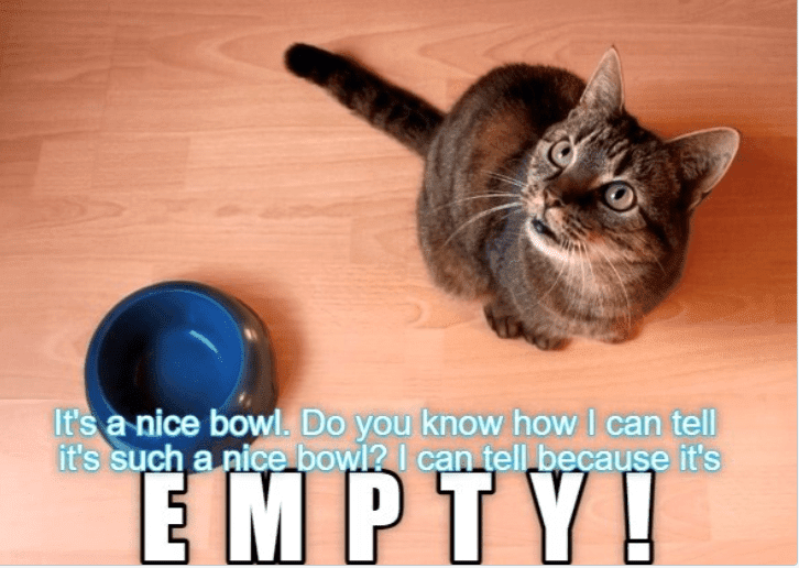 s-nice-bowl-do-know-can-tell-s-such-nice-bowl-can-tell-because-s-empty.png
