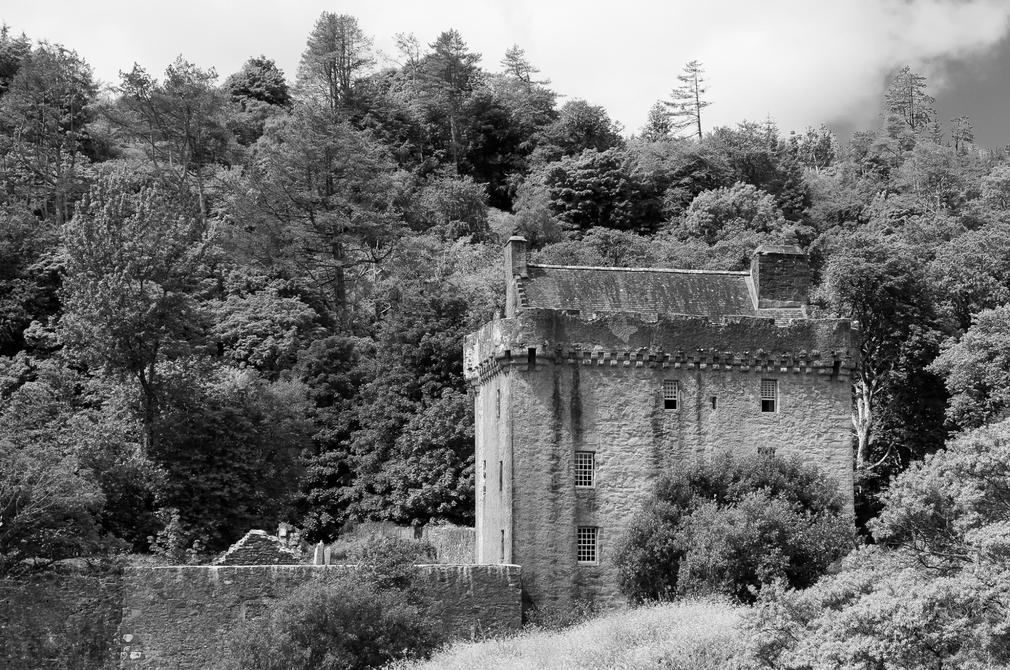 SaddellCastle20230622.jpg