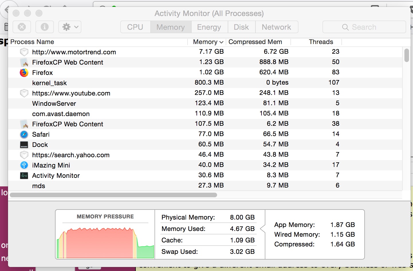 Safari-runaway-ram.jpg