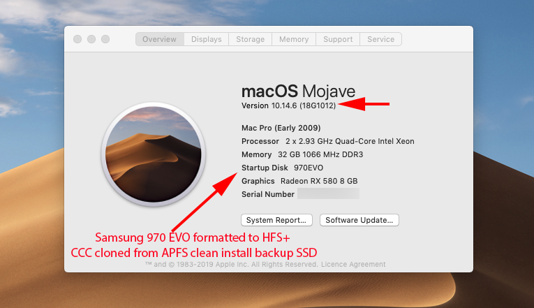 Samsung 970 EVO Mojave 10.14.6  Build 18G1012.png