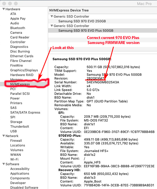 Samsung 970 EVO Plus.jpg