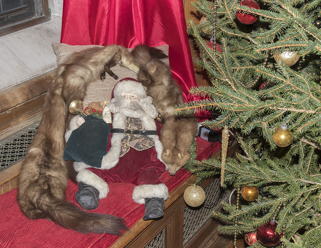 Santa with the weasels1024.jpg