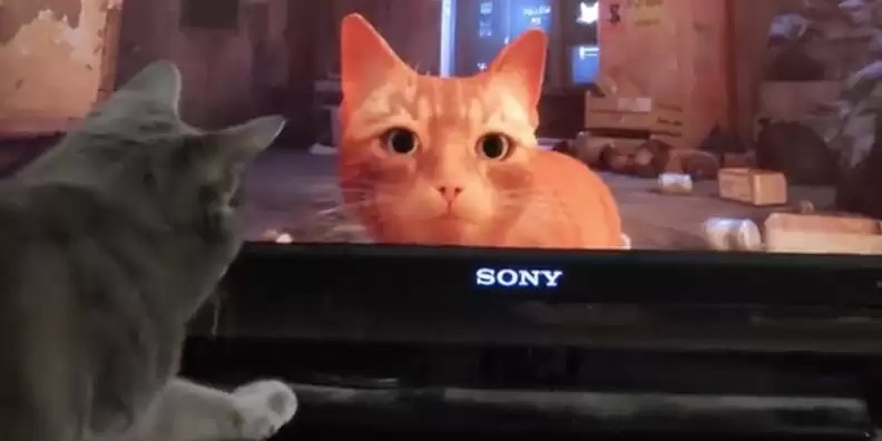 scale.jpeg