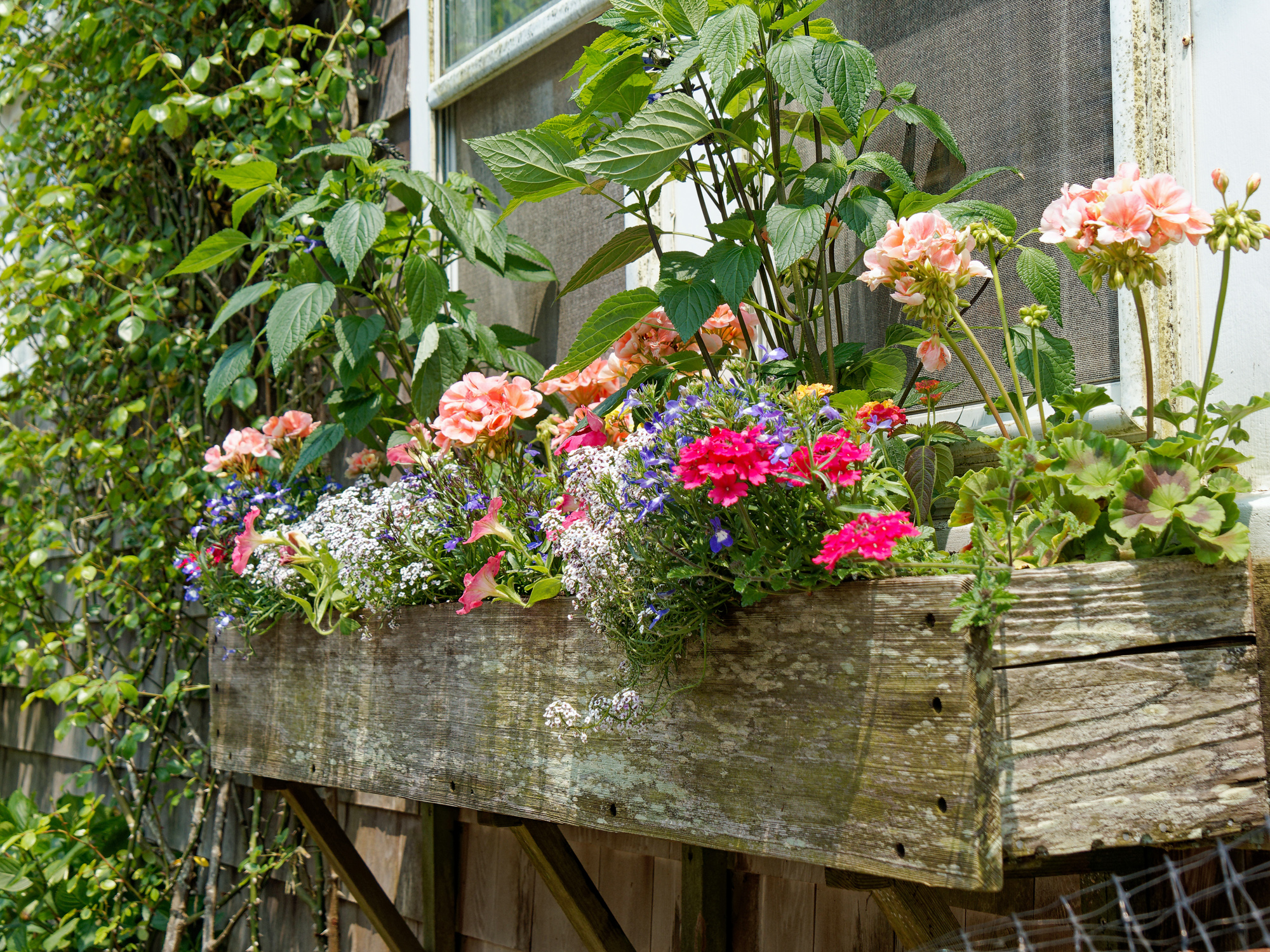 sconsetflowerbox2k.jpg