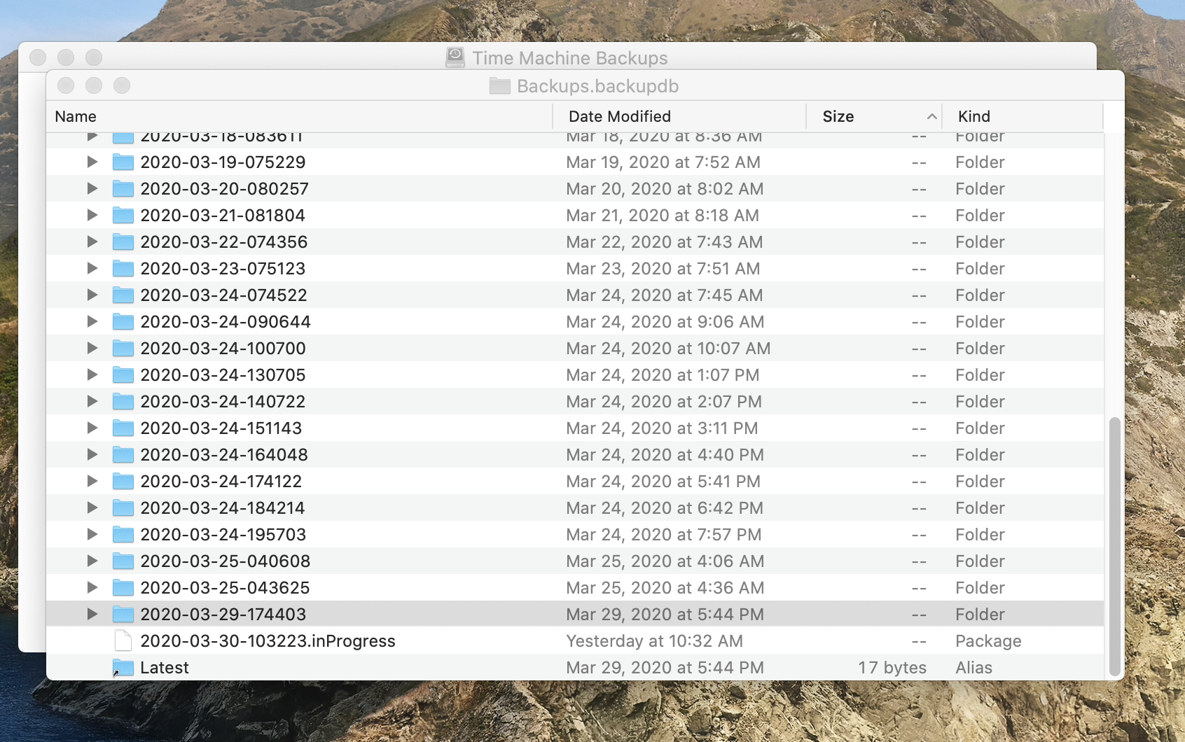 Screen Shot 2020-03-31 at 2.44.46 PM.png