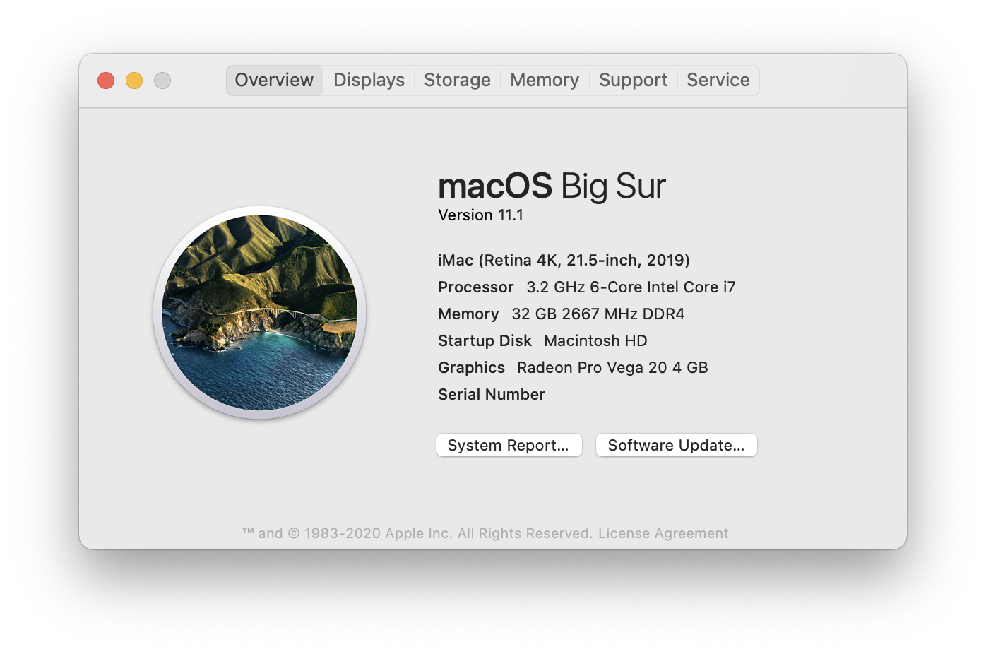 Screen Shot 2021-01-17 at 6.36.17 PM.png