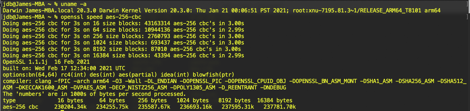Screen Shot 2021-02-19 at 3.18.10 AM.png