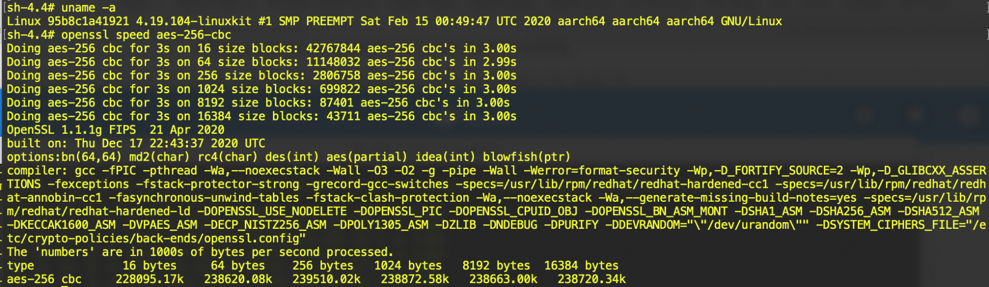 Screen Shot 2021-02-19 at 3.20.15 AM.png
