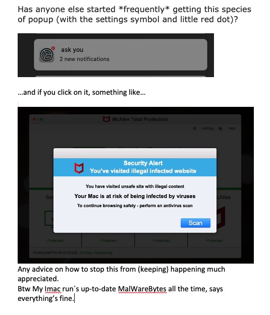 Screen Shot 2023-08-06 at 1.59.12 PM.jpg