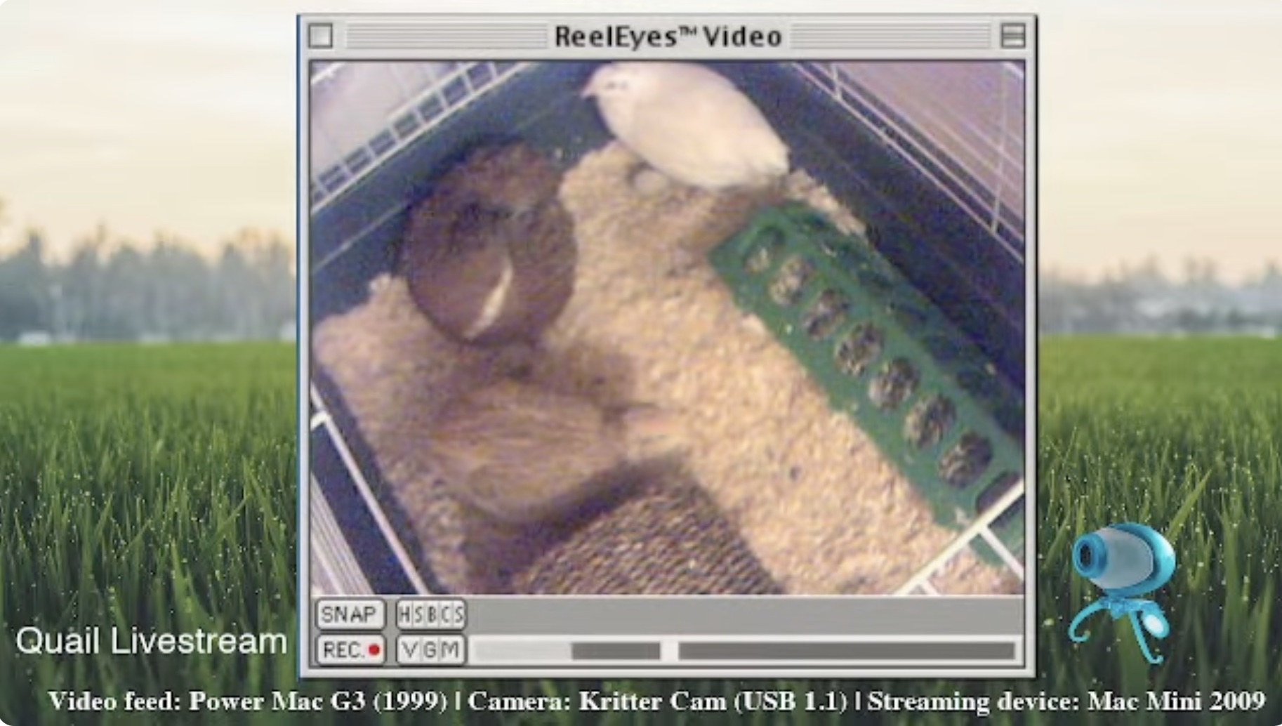 Screen Shot 2023-09-29 at 4.47.19 pm.jpg