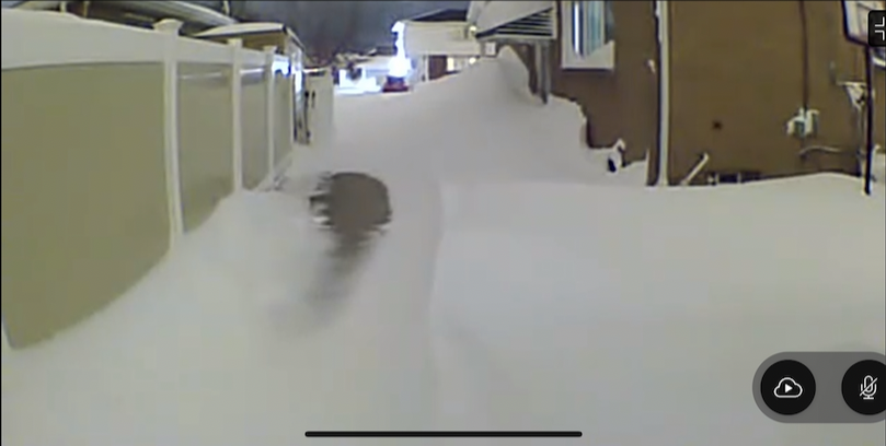 Screenshot 2022-12-26 at 2.50.21 PM.png