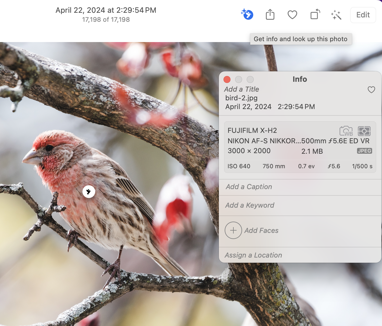 Screenshot 2024-04-23 at 10.17.42 AM.png