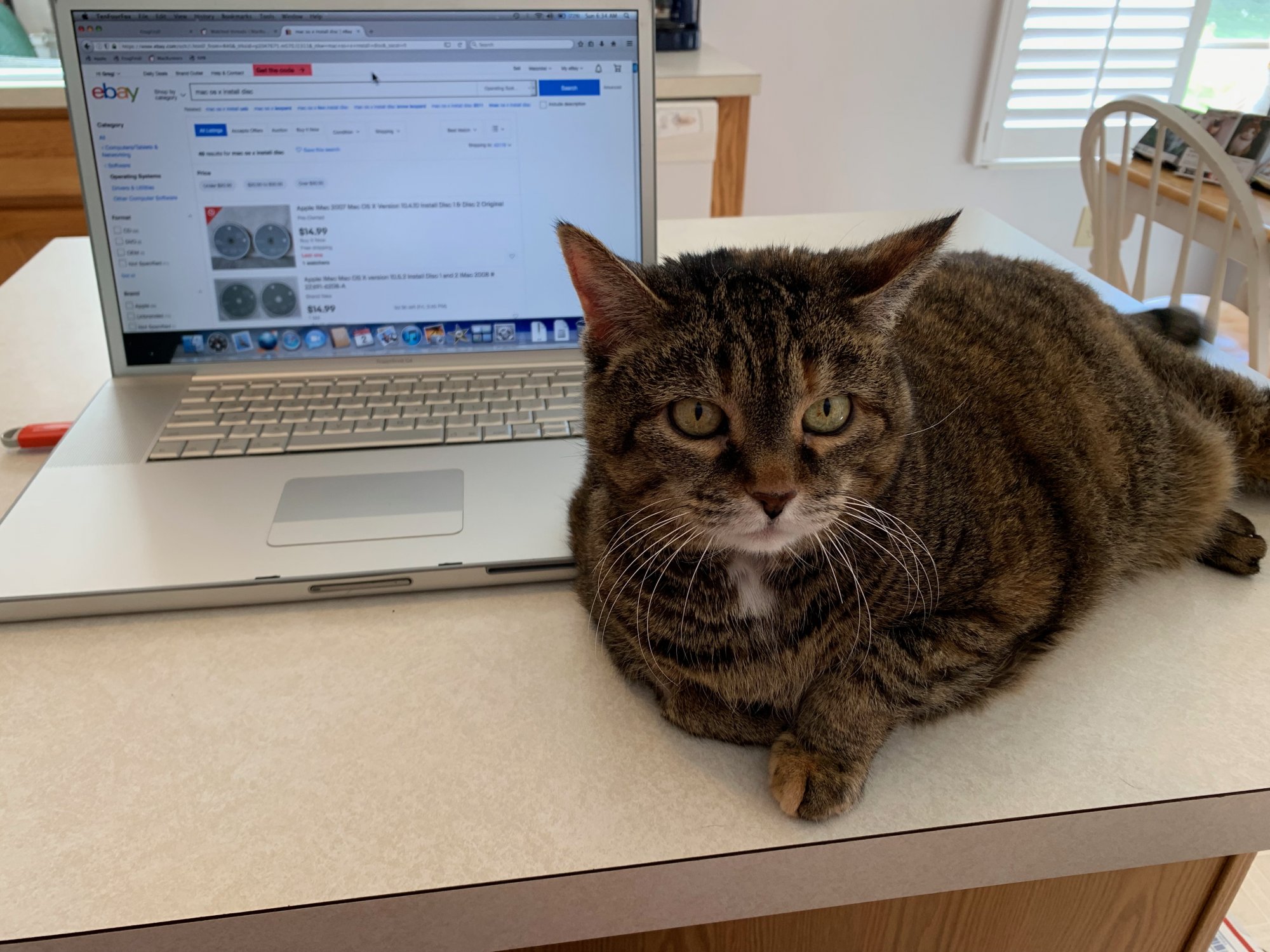 Scully next to PowerBook G4 17.jpeg