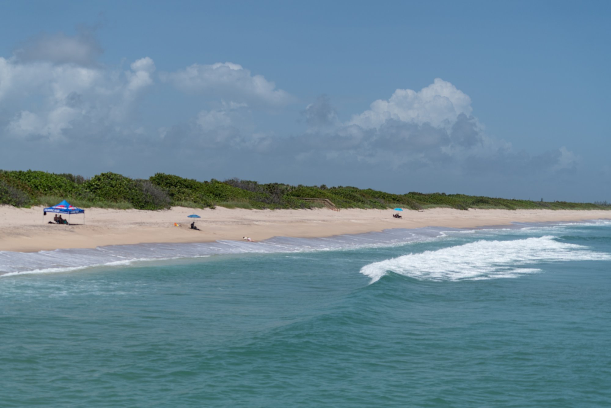 Sebastian Inlet - 2500px-4.JPG