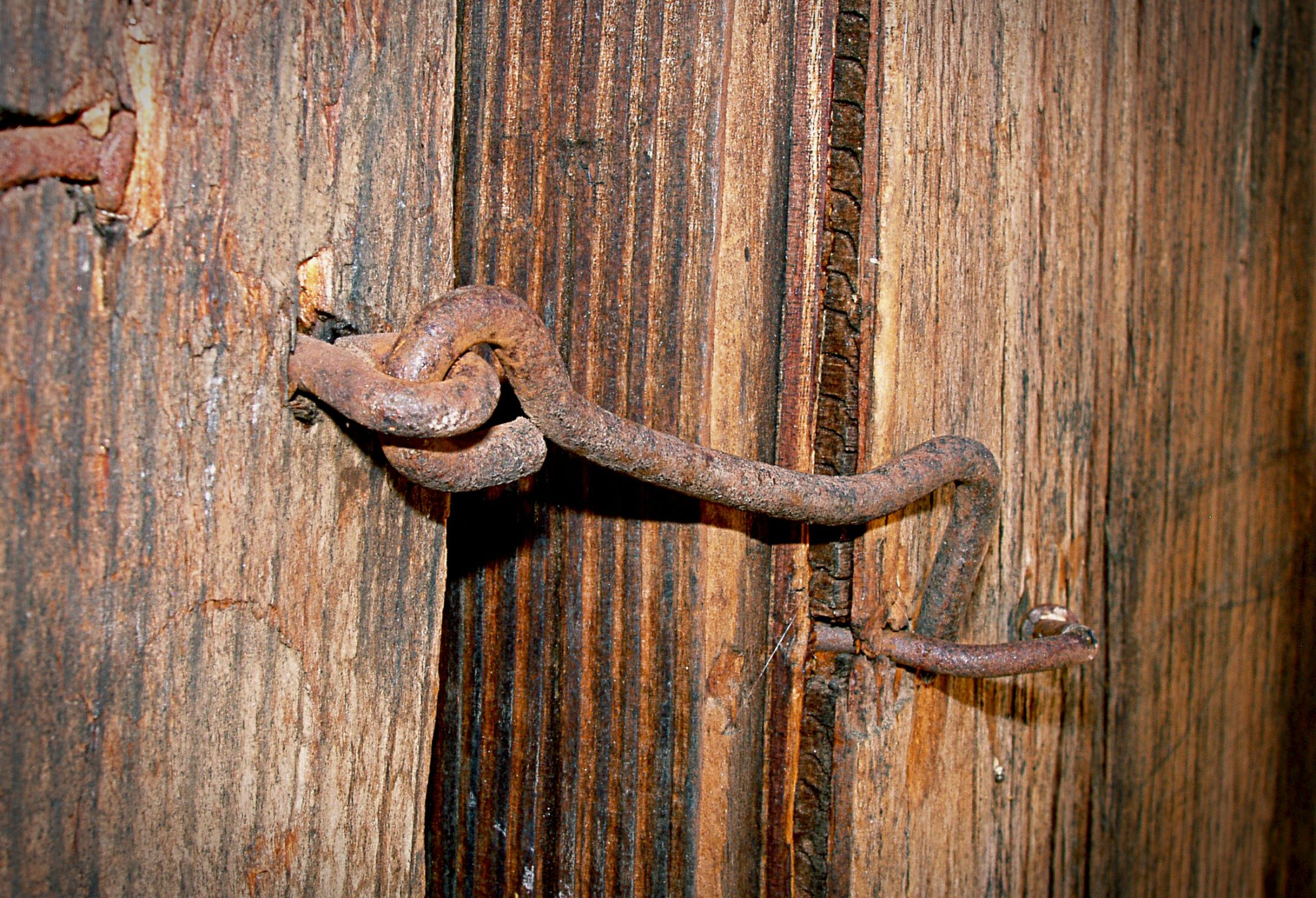 shedhook 5 7.23.22 crop xl.jpg