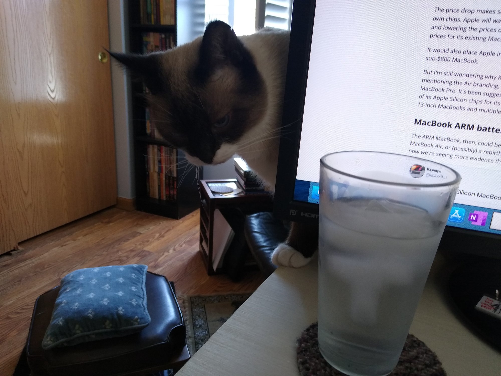 Sherlock looking around monitor at water glass.jpg