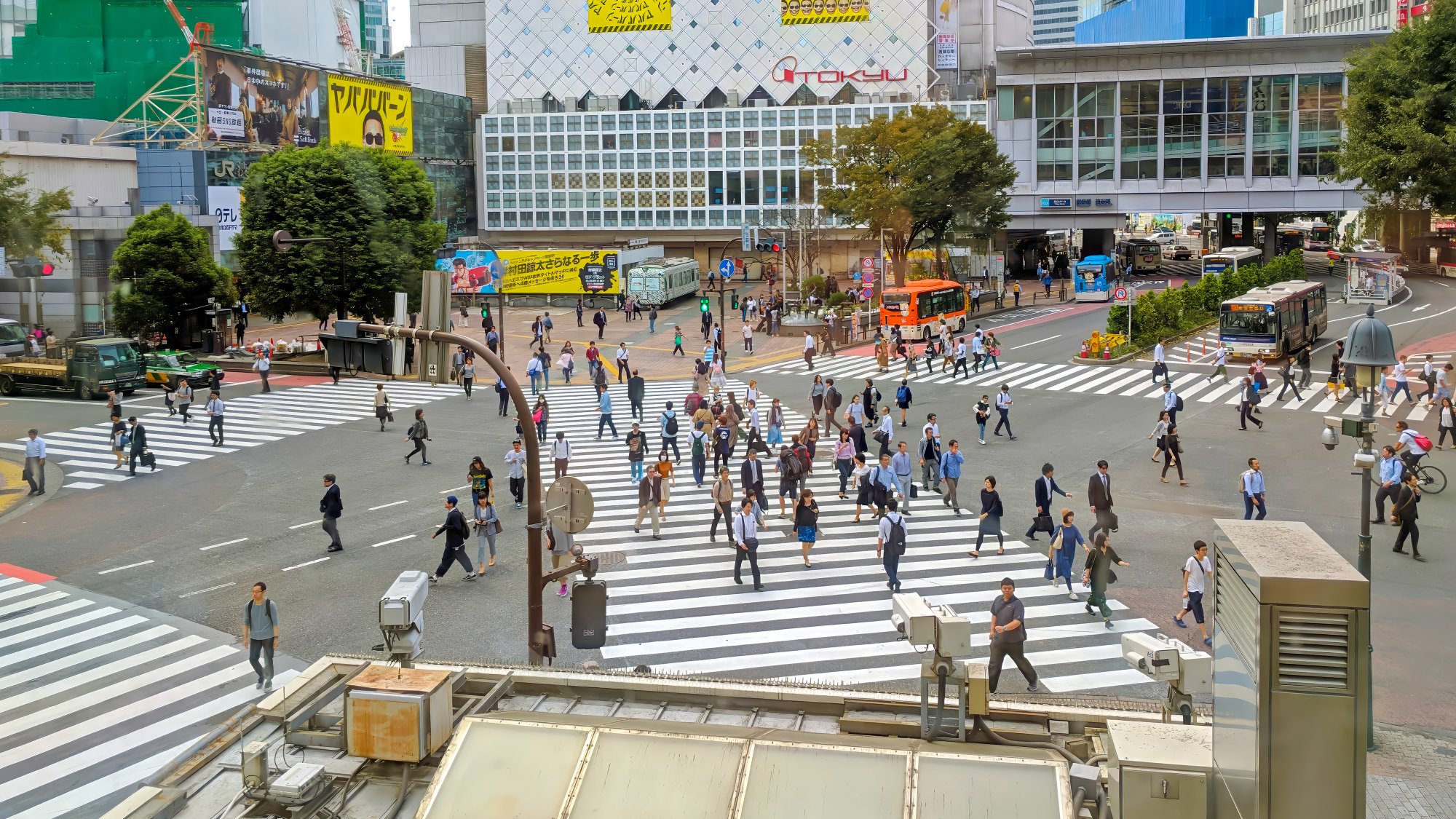 Shibuya.jpg