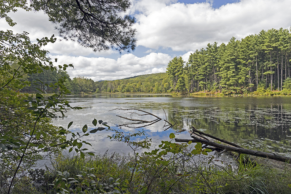 silvermine lake 11024.jpg