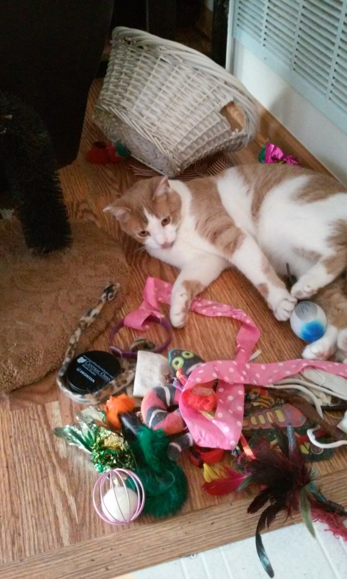 Sinclair among his toys.jpg