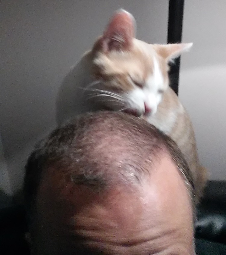 Sinclair licking my scalp.jpg