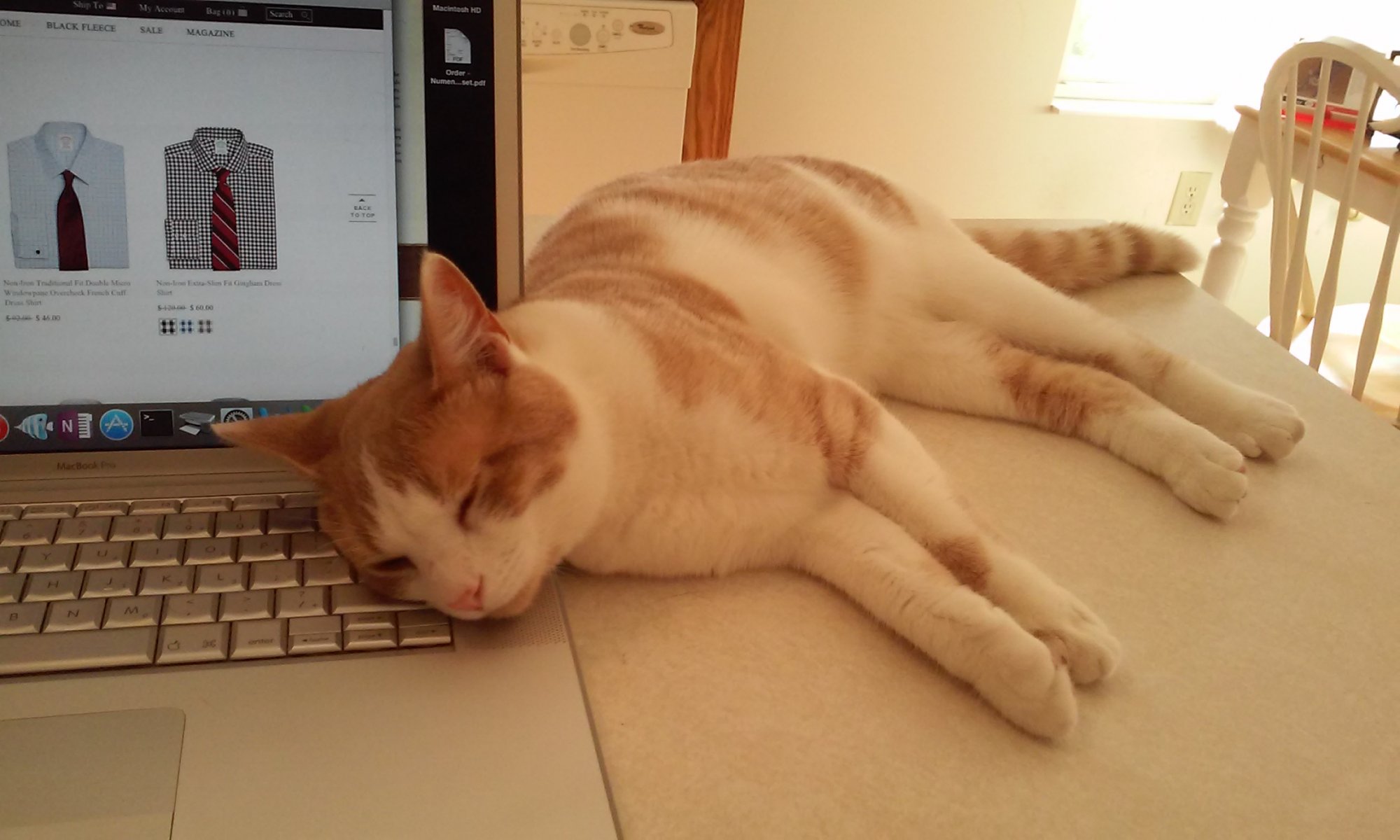 Sinclair resting on Macbook.jpg