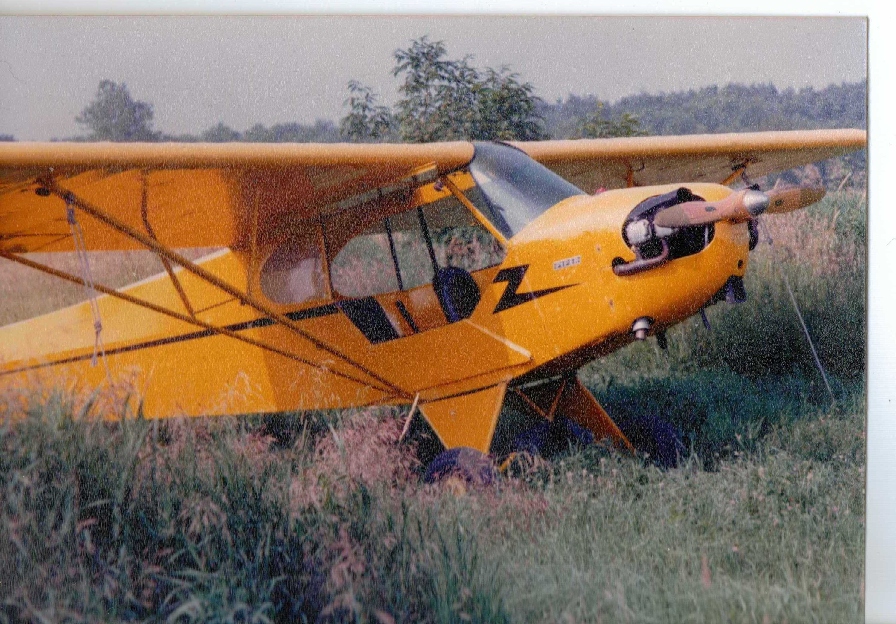 sitting cub 2 9.39.02 AM.jpg