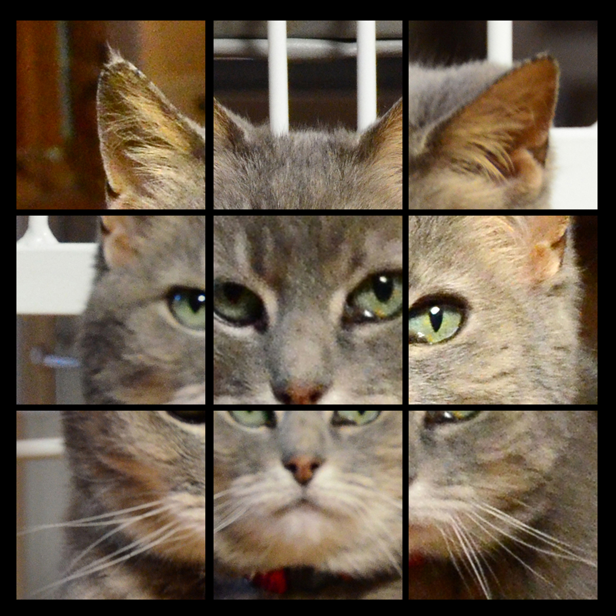 Skitty Mosaic - 9 tile black.jpg