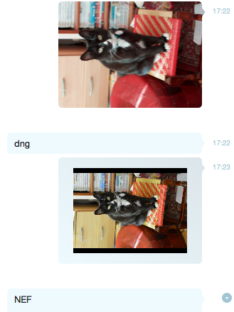 Skype.png