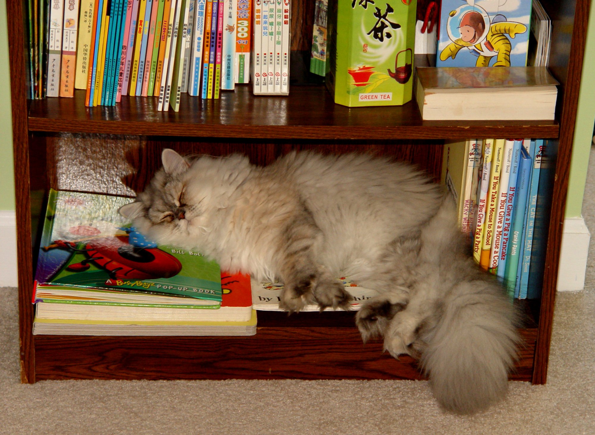 Sleep on Any Good Books.jpg