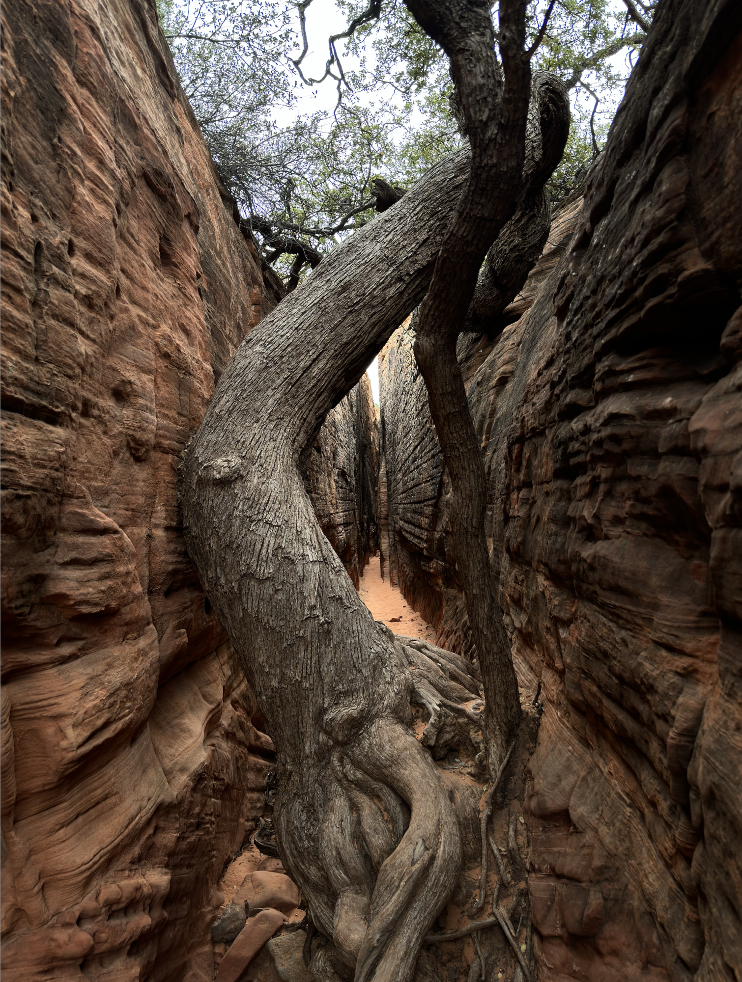 Slot Canyon.png