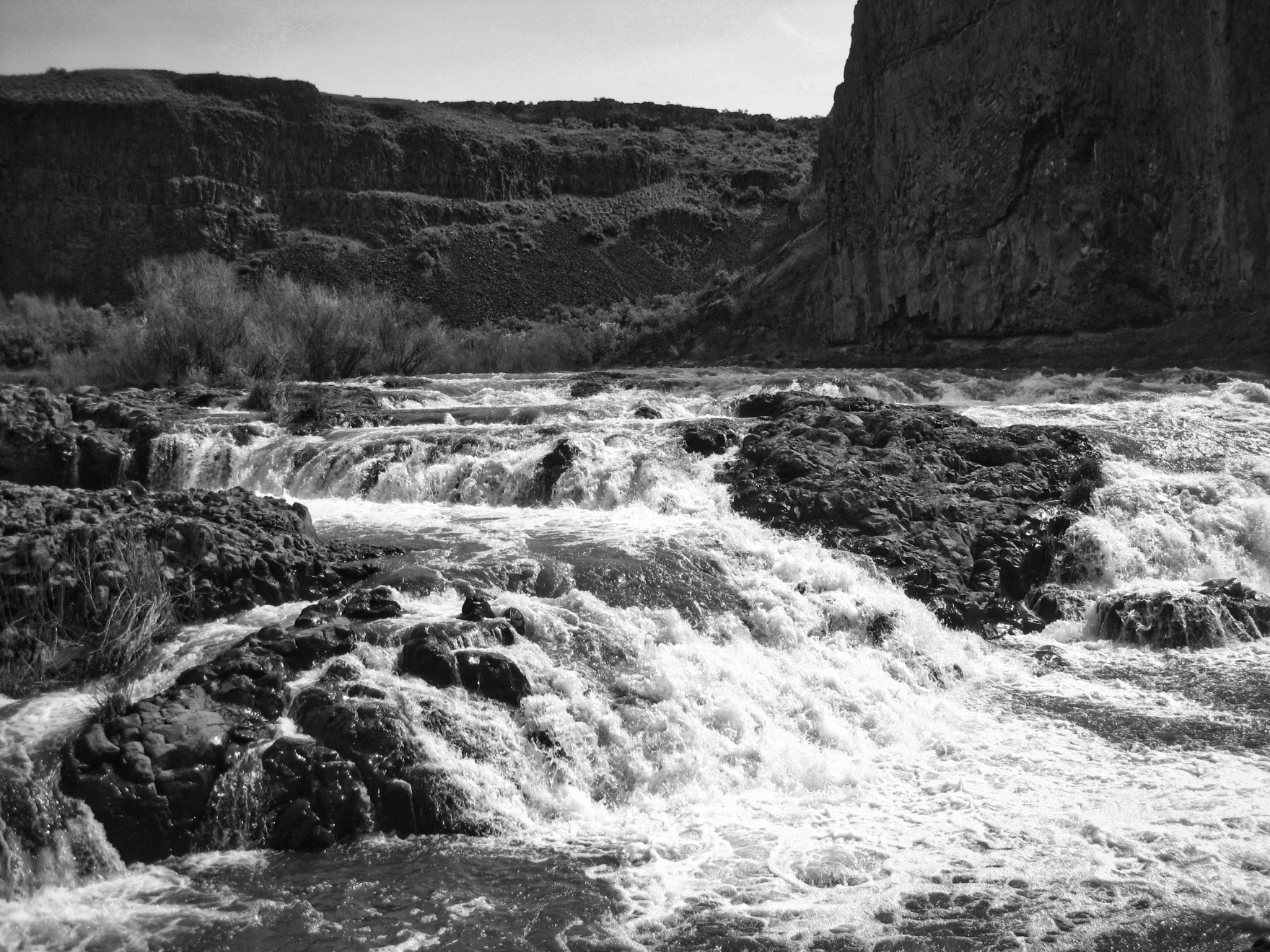 Snake_River_b4_Palouse_Falls_WA.jpeg