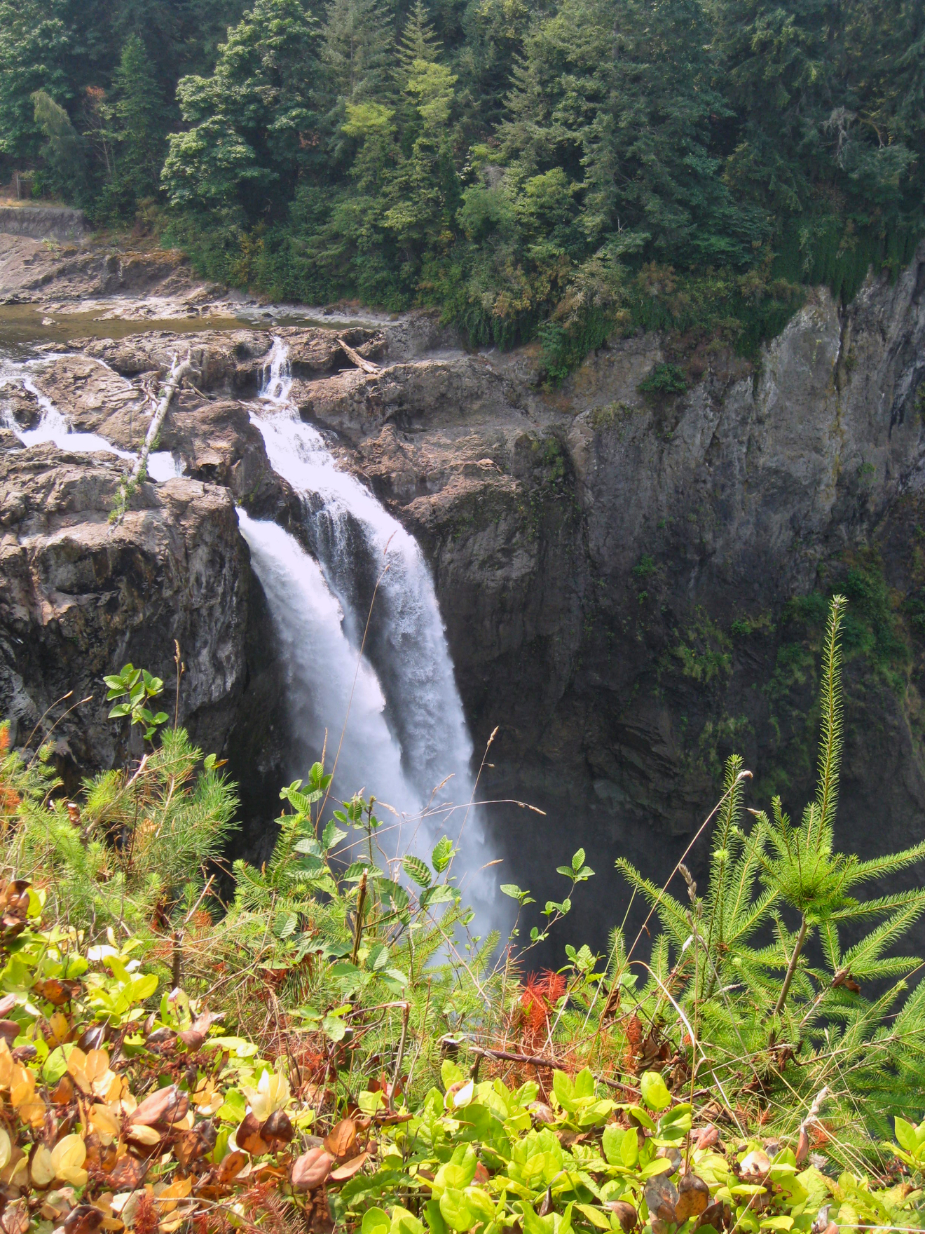 snoqualmie_falls_top.jpeg