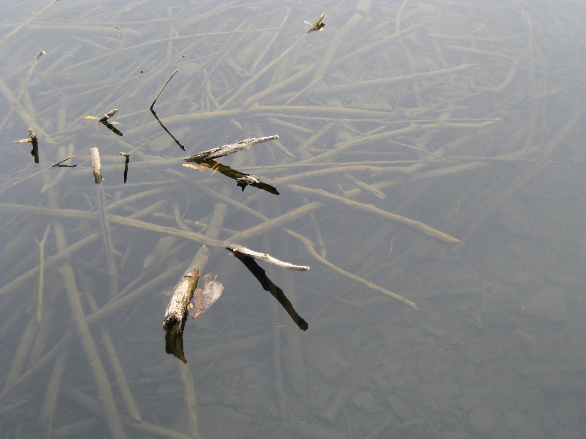 spokane_river_downtown.jpg