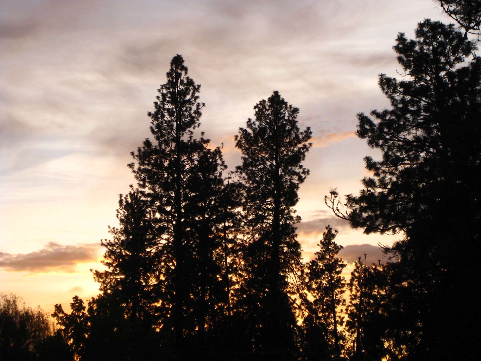 spokane_wa_sunset_2010-1.jpg