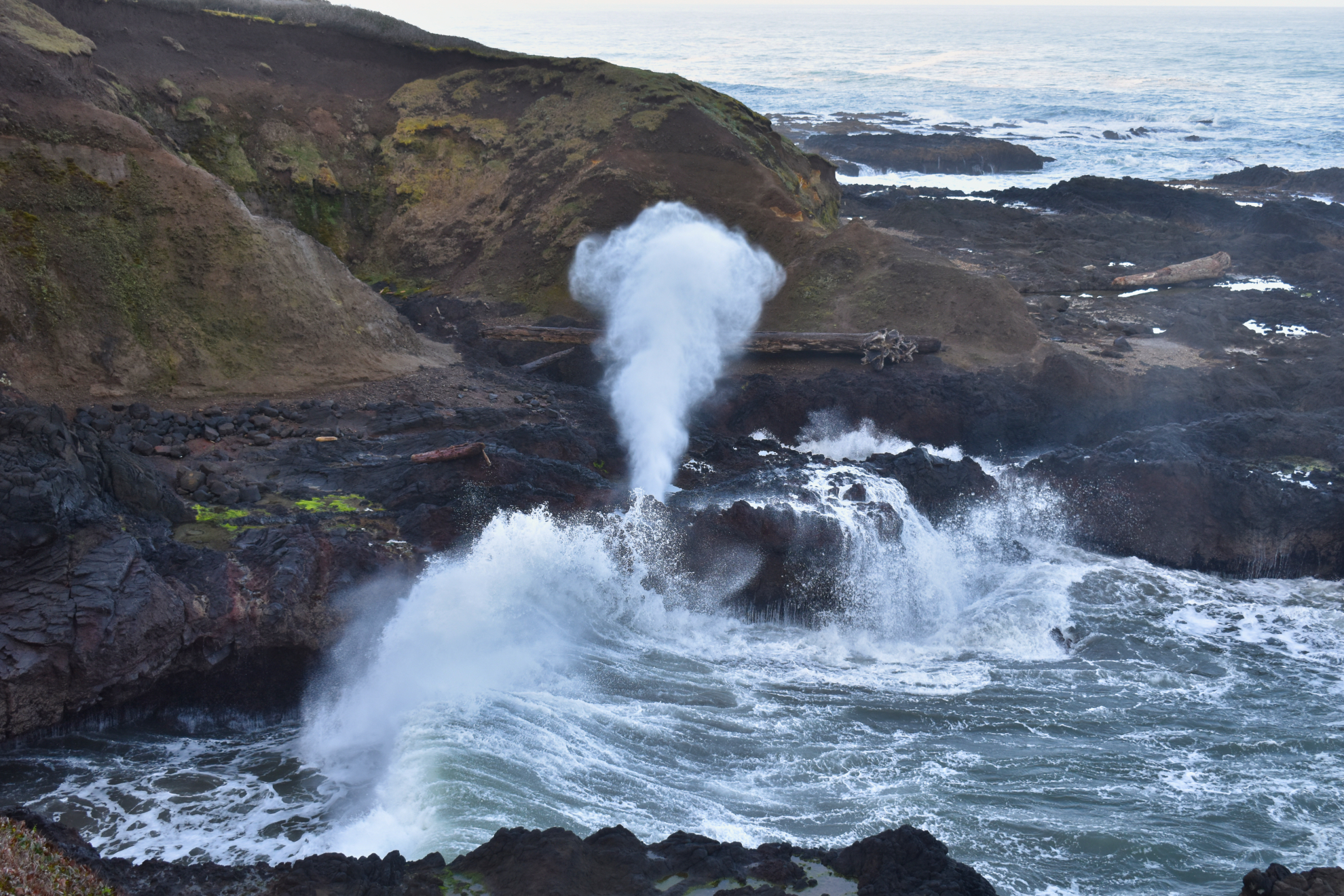 Spouting_Horn_Cape_Perpetua_Scenic_Area_OR.jpeg