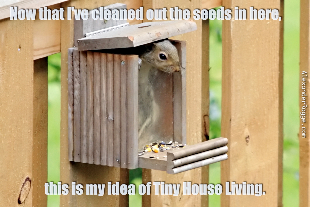 Squirrel_Birdfeeder_TinyHouseLiving.JPG