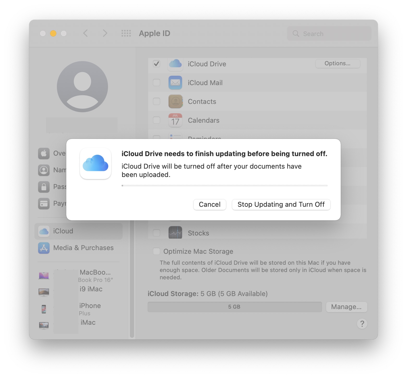 SS - iCloud Drive Fail jpeg.jpg