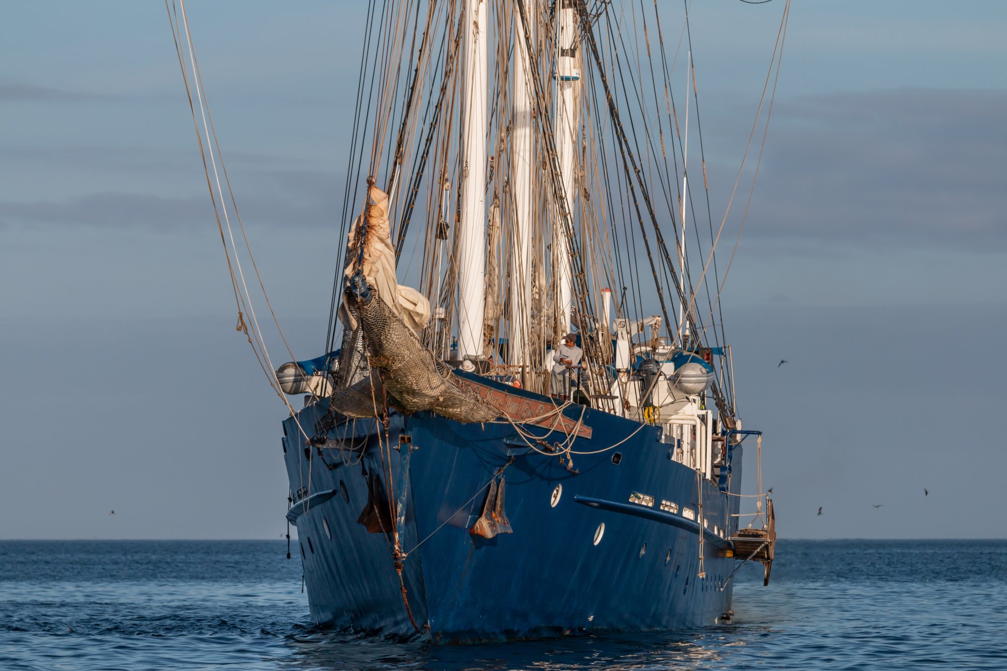 SS Mary Anne - Galapagos.jpg