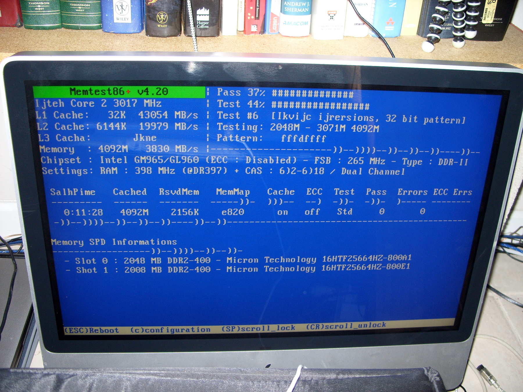 SS851735.jpg