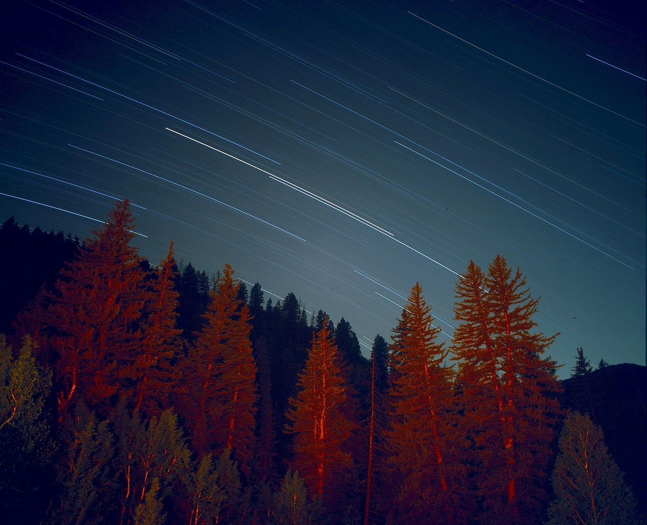 star-731345_1280.jpg
