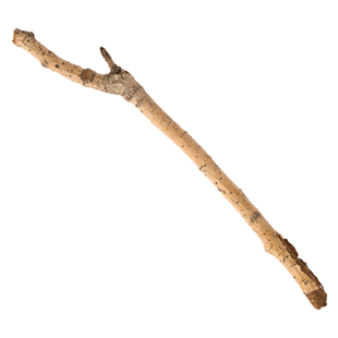 stick_0[1].png