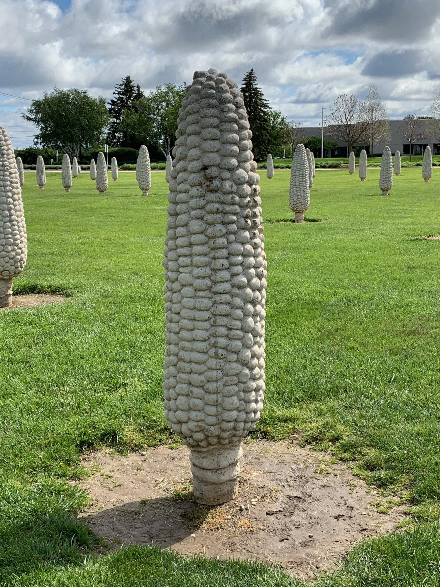 Stone corn - Closeup.jpeg