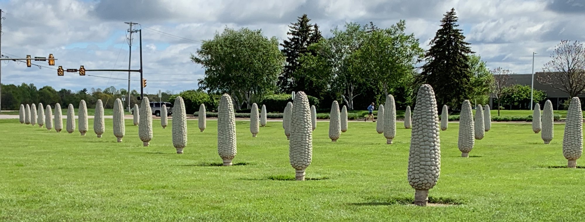 Stone corn - Rows 1 cropped.jpg