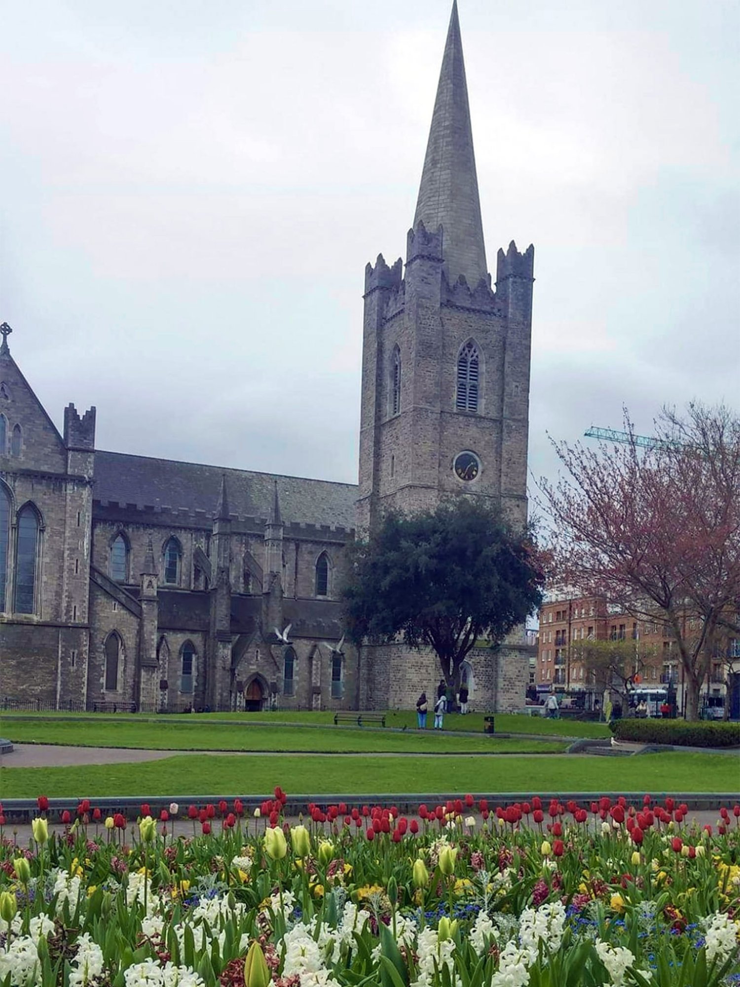 stpatricksdublin.jpg