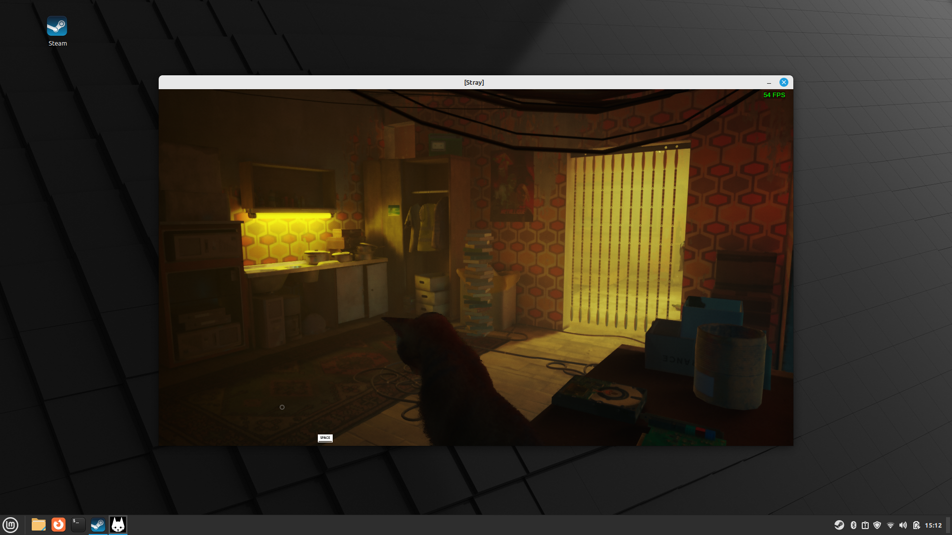 Stray Linux Mint 2 - Copy.png