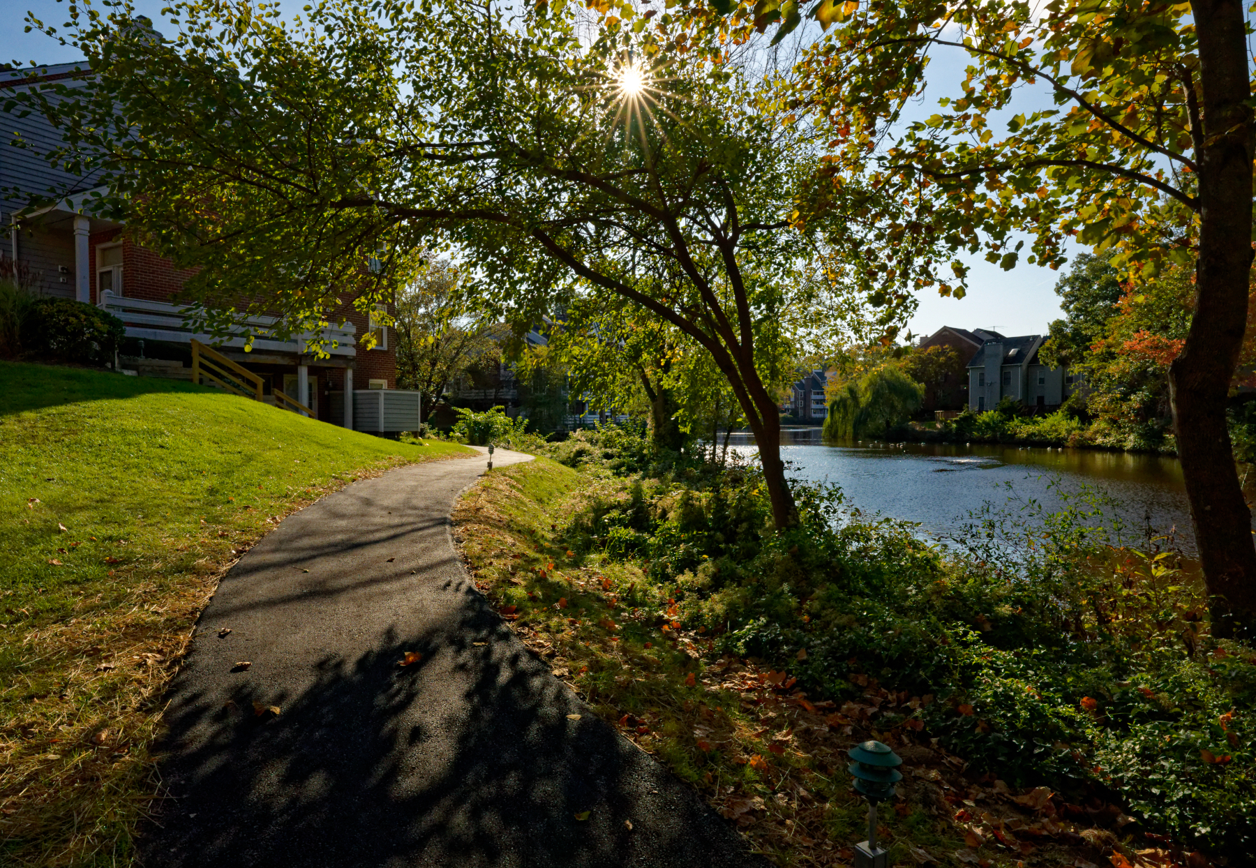 Strolling the Path on a Beautiful Autumn Afternoon.jpeg