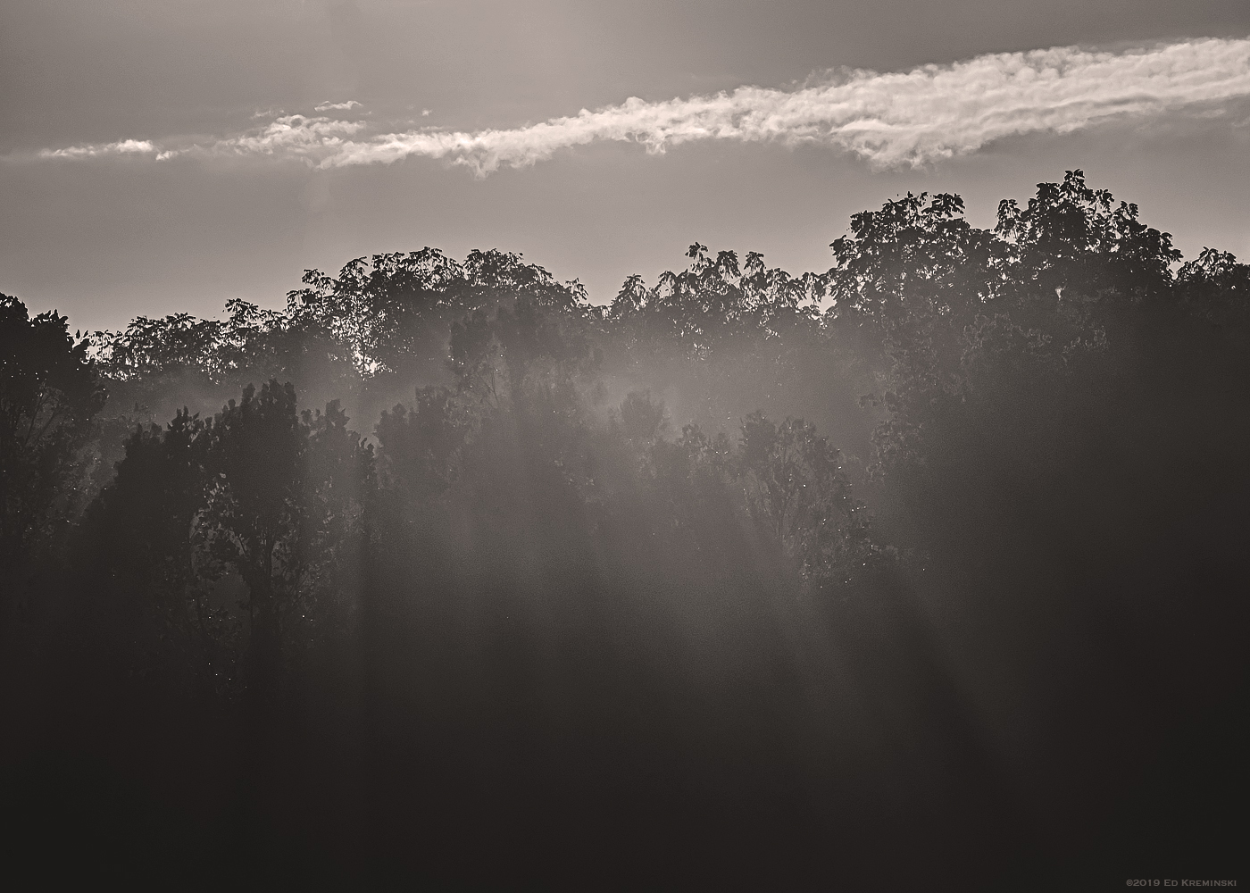 SummerFogTreesIridescentCloudsSepia.jpg